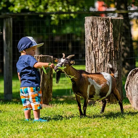 Hotell Baby- Und Sonnelino 4*