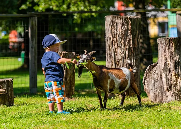 فندق Baby- Und Sonnelino 4*