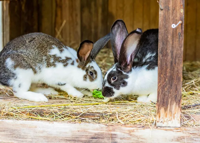 Hotell Baby- Und Sonnelino